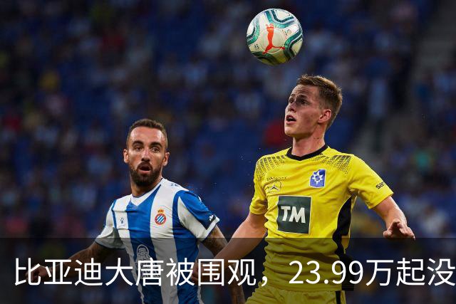 比亚迪大唐被围观，23.99万起没人信